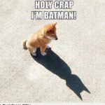 Things to make you smile