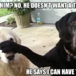 something-to-make-you-smile_006